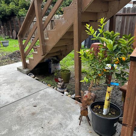 Bumblebee House Lejlighed Oakland Eksteriør billede